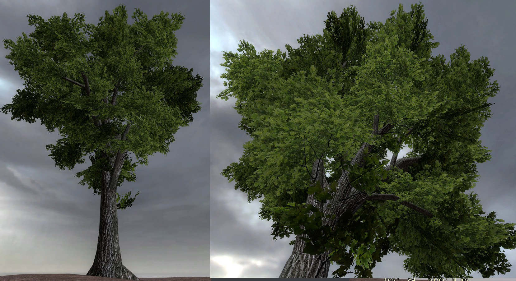 elm_tree_screenshot.jpg